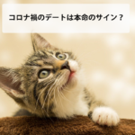 コロナ禍でもデートするのは本命のサイン?